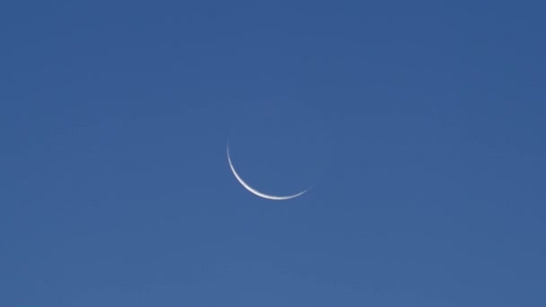 Tokyo Japan December 2021 Rising Waning Crescent Moon Sky Japan — Stock Video