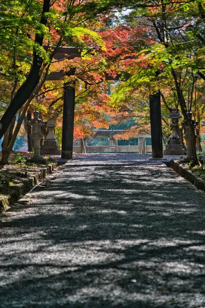 Kyoto Japan November 2021 Andra Torii Eller Nino Torii Oharano — Stockfoto