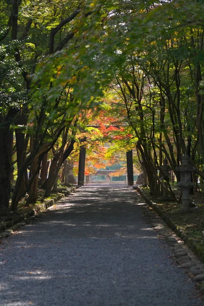 Kyoto Japan November 2021 Andra Torii Eller Nino Torii Oharano — Stockfoto