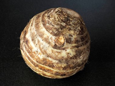 Tokyo, Japonya - 20 Aralık 2021: Kudüs Enginar veya Helianthus Tuberosus veya Kikuimo 'nun Kapanışı