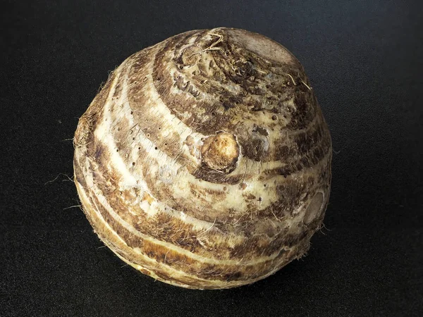 Tokyo, Japonya - 20 Aralık 2021: Kudüs Enginar veya Helianthus Tuberosus veya Kikuimo 'nun Kapanışı