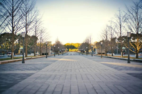 Tokyo Japan December 2021 Gyoko Street Tokyo Winter Morning — Stockfoto