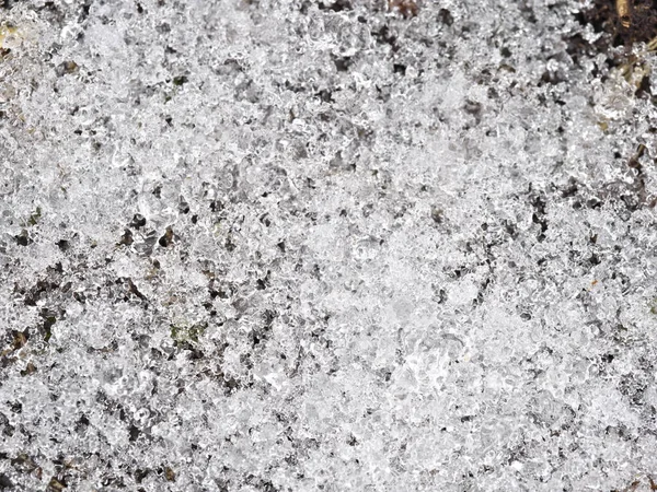 Tokyo Japan January 2022 Closeup Snow Soil Imagen De Stock