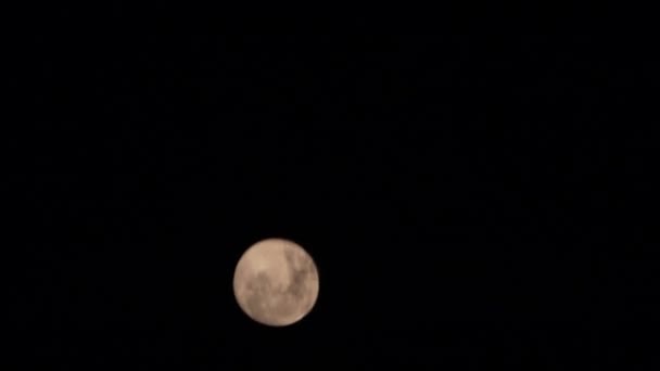 Tokyo Japon Février 2022 Reflet Pleine Lune Surface Eau — Video