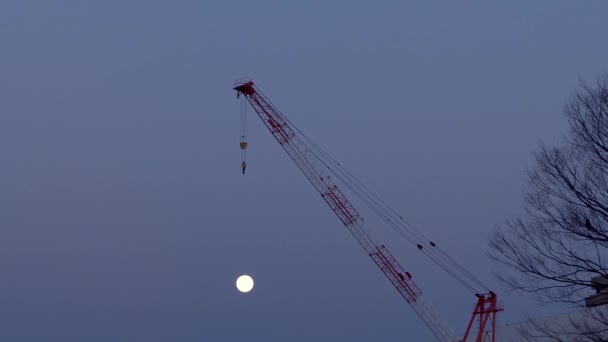 Tokyo Giappone Febbraio 2022 Luna Piena Neve Sotto Una Gru — Video Stock