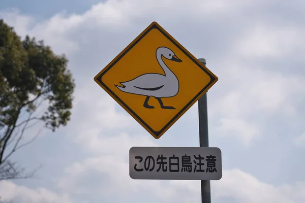 Ibaraki Japan März 2022 Verkehrsschild Warnt Vor Überquerung Wilder Schwäne — Stockfoto