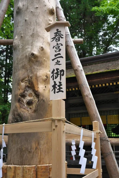 Nagano Japan May 2022 Just Completing Rebuilding Onbashira Pillars Harumiya — Φωτογραφία Αρχείου