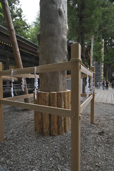 일본나가 2022 2022 미야에 바쉬라 기둥을 — 스톡 사진