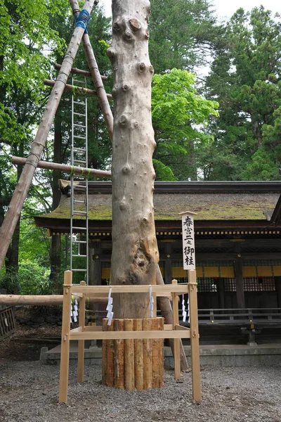 Nagano Japonia Maja 2022 Tuż Zakończeniu Odbudowy Onbashiry Lub Filarów — Zdjęcie stockowe