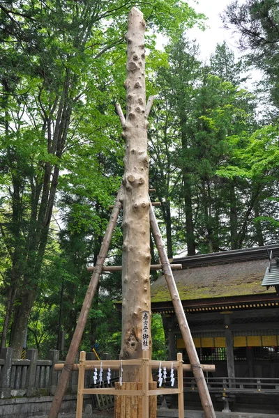 Nagano Japan May 2022 Just Completing Rebuilding Onbashira Pillars Harumiya — Φωτογραφία Αρχείου