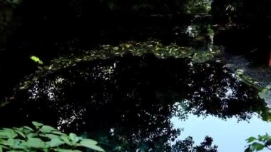 Shizuoka, Japonya - 22 Mayıs 2022: Shizuoka bölgesindeki Kakitagawa Parkı 'nda kaynak suyu. Fuji. 