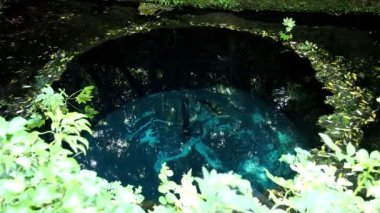 Shizuoka, Japonya - 22 Mayıs 2022: Shizuoka bölgesindeki Kakitagawa Parkı 'nda kaynak suyu. Fuji. 