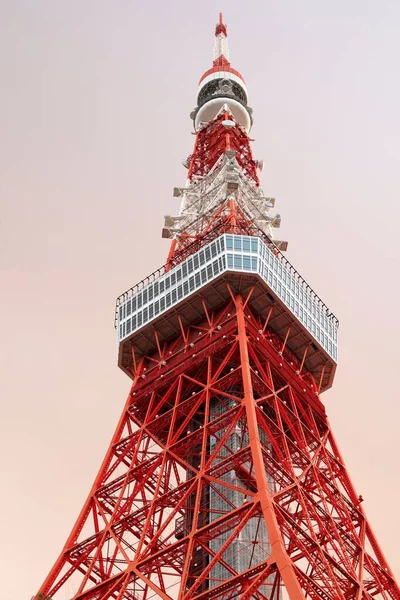 日本东京 2022年6月12日 东京塔楼夏季黄昏 — 图库照片