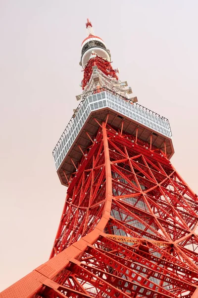 Токио Япония Июня 2022 Года Токийская Башня Сумерках Токио Летом — стоковое фото