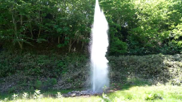 北海道 2022年6月21日 スローモーション 北海道知床の羅臼間欠泉から噴出するお湯 — ストック動画