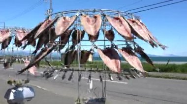 Hokkaido, Japonya - 21 Haziran 2022: Dönen balık kuru makinesinde kurutulmuş uskumru