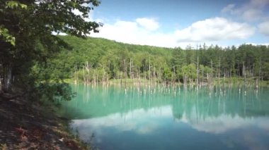 Hokkaido, Japonya - 8 Temmuz 2022: Shirogane Blue Pond Biei, Hokkaido, Japonya