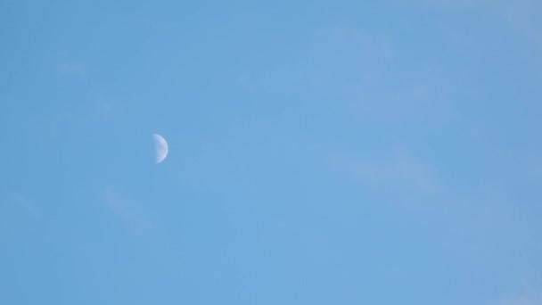 Tokyo Japan September 2022 Time Lapse Half Moon Dichotomy Blue — Stockvideo
