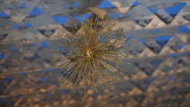 Tokyo Japan September 2022 Gold Finish Urchin Decorative Sphere — Videoclip de stoc