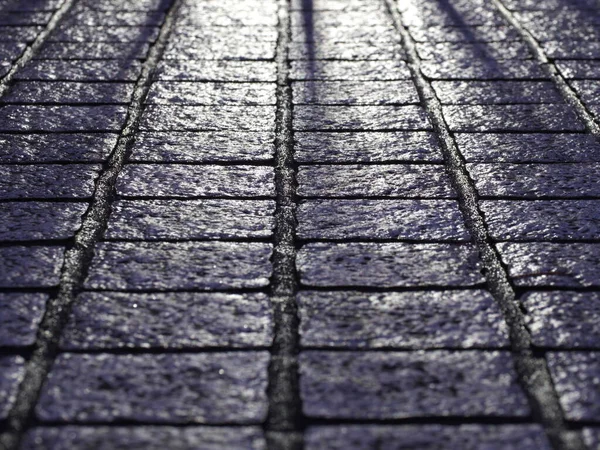 Tokyo Japan October 2022 Wet Road Tiles Night — Stock Photo, Image