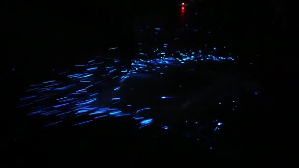 Niigata Ιαπωνία Οκτωβρίου 2022 Όμορφα Μπλε Φώτα Που Εκπέμπονται Από — Αρχείο Βίντεο