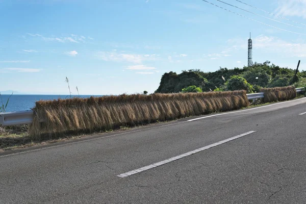 Niigata Japan October 2022 Drying Harvested Rice Plant Guardrail Sado — стоковое фото