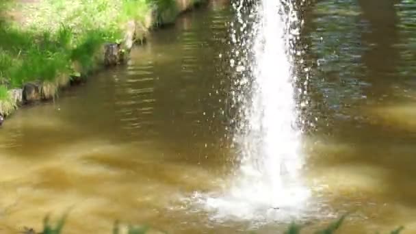 公园境内湖中的小喷泉 — 图库视频影像