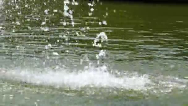 公園の領域上の湖の中にミニチュア噴水 — ストック動画