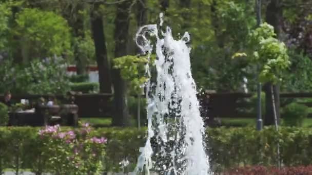 Miniature Fountain Lake Territory Park — Stock Video