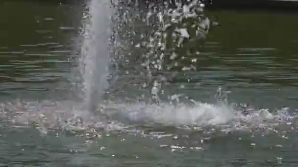 Miniaturbrunnen See Auf Dem Territorium Des Parks — Stockvideo