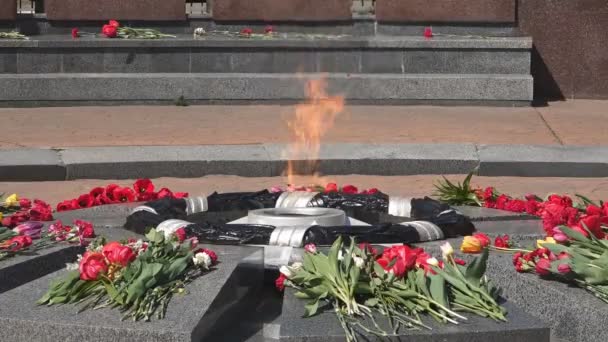 Memorial Eternal Flame Honor End World War — Stock Video