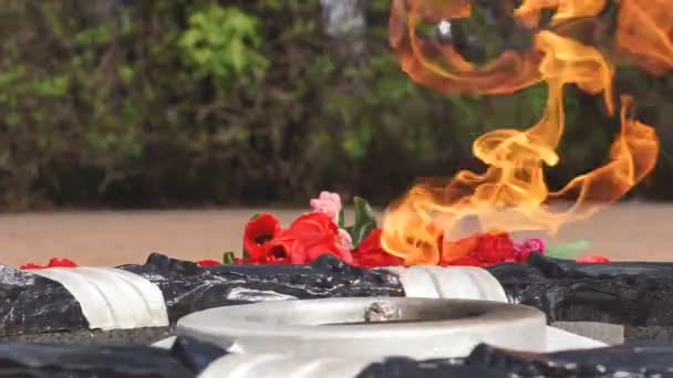 Flamme éternelle au mémorial aux défenseurs tombés la patrie — Video