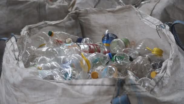 Envases prensados de botellas de plástico y envases domésticos — Vídeos de Stock
