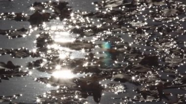 Güneş, suyun yüzeyinde parlıyor. Zeytin yansımaları, sonbahar gölünde parlayan yıldızlar su yüzeyinde süzülen sarı yapraklar arasında.