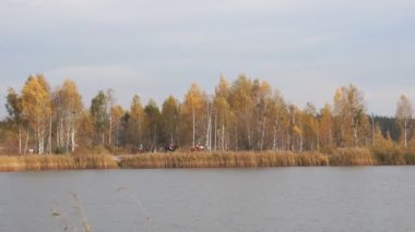 Sonbahar manzarası, sarı çimenler ve yumuşak rüzgarda sallanan ağaç yaprakları. Sonbahar mevsimi