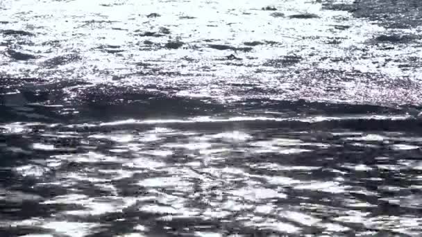氷の海岸と冬の湖。寒い冬の天気. — ストック動画