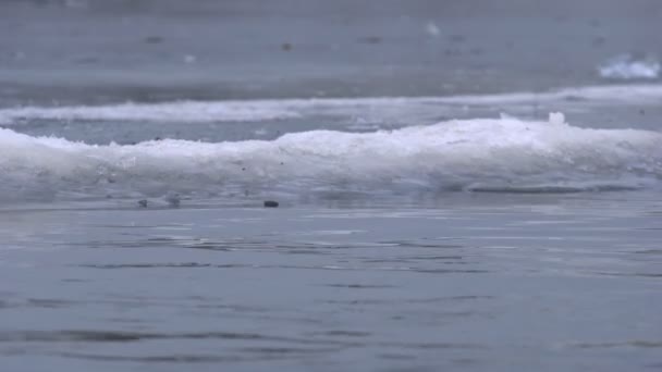 Zimní jezero s ledovým pobřežím. Studené zimní počasí. — Stock video