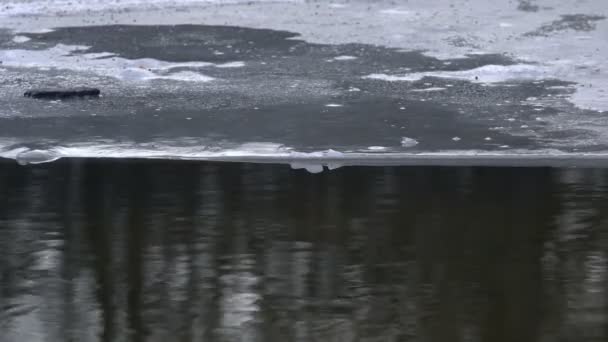 Lago de inverno com costa gelada. Inverno frio tempo. — Vídeo de Stock