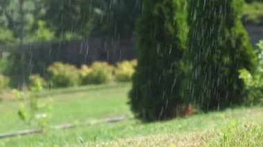 Yağmur damlaları ve bokeh arkaplanlı yeşil çayır