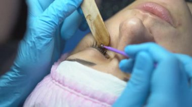 Güzellik salonunda profesyonel kirpik büyütme. Kirpiklere özel ajan uygulanır.