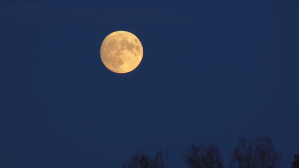 Повний Рух Місяця Чистому Нічному Небі — стокове відео