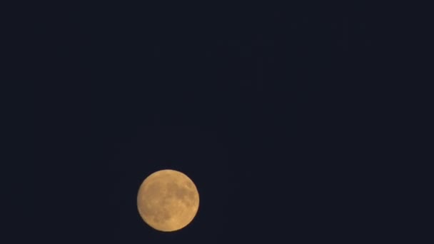 밤하늘의 보름달의 움직임 — 비디오