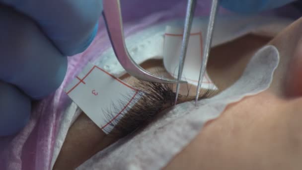 美容院的专业睫毛增强 特殊的药物适用于睫毛 — 图库视频影像