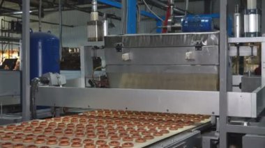 Endüstriyel gıda fabrikası veya fırın, otomatikleştirilmiş üretim hattındaki kurabiyeler veya taşıma bandı, şekerleme fabrikası veya fırın