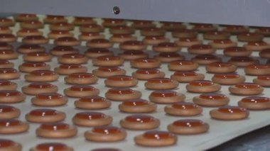 Endüstriyel gıda fabrikası veya fırın, otomatikleştirilmiş üretim hattındaki kurabiyeler veya taşıma bandı, şekerleme fabrikası veya fırın