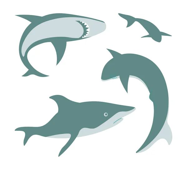 Ensemble de requins gris isolés sur fond blanc — Image vectorielle