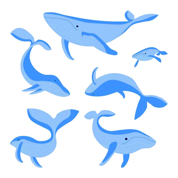 Set di balene azzurre isolate su sfondo bianco — Vettoriale Stock