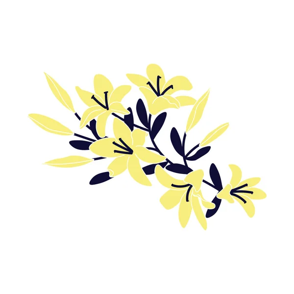 Κίτρινα κρίνα, μπουκέτο λουλούδια ανθισμένα απομονωμένα σε λευκό — Διανυσματικό Αρχείο