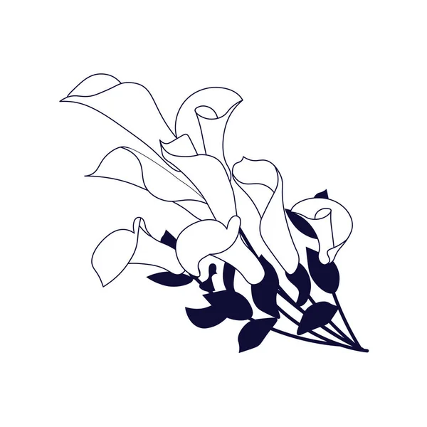 Vita kalla blommor, bukett blommande blommor isolerade pÃ ¥vitt — Stock vektor