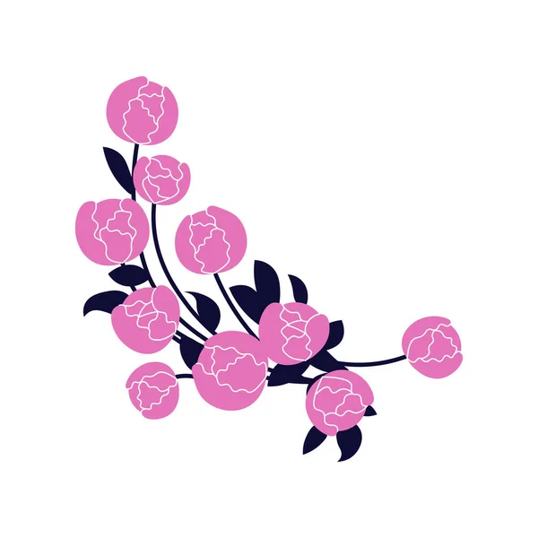 Rózsaszín bazsarózsa, fehér virágcsokor — Stock Vector